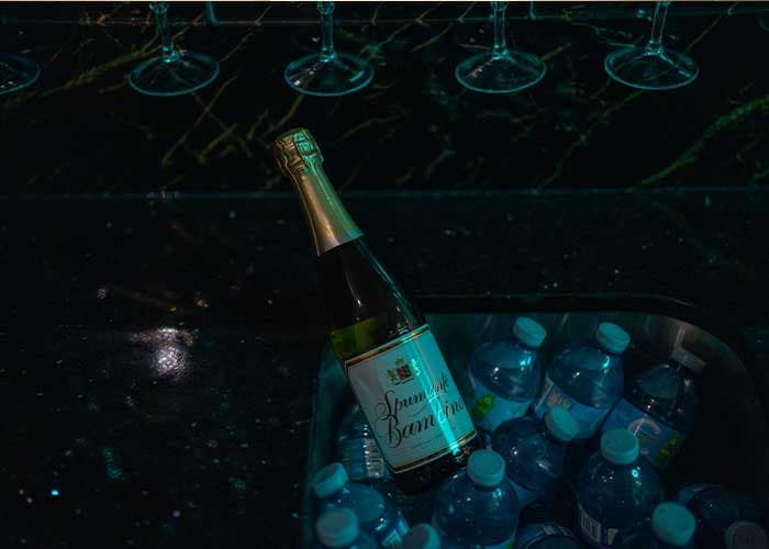 40 Passenger Party Bus - View 5