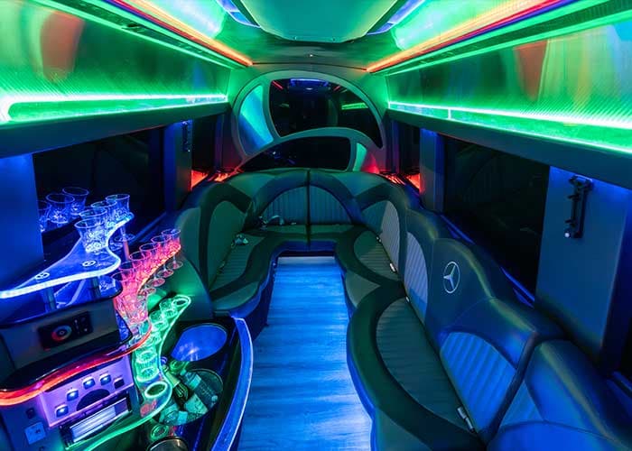 15 Passenger Mercedes Sprinter Van - View 9