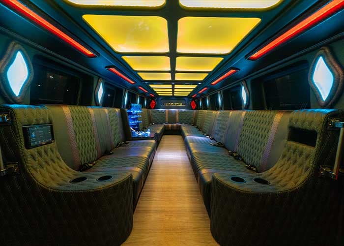 20 Passenger Hummer Limo - View 7